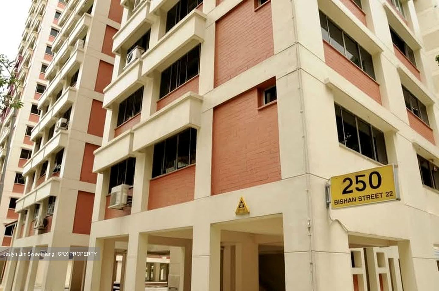 Blk 250 Bishan Street 22 (Bishan), HDB 4 Rooms #594701751